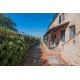 FARMHOUSE WITH POOL FOR SALE IN MONTE GIBERTO IN THE MARCHE REGION has been expertly restored and used as an accommodation business in Le Marche_5